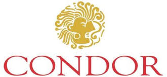 logo condor