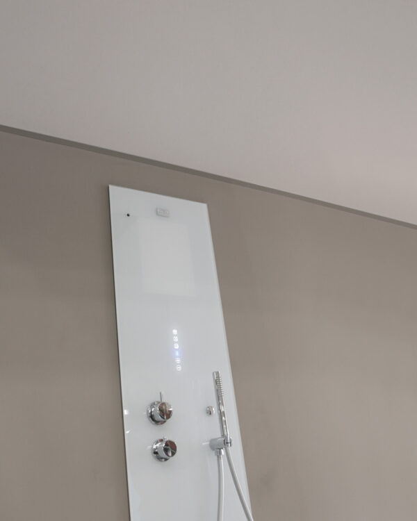 Cabine-de-douche-Gemini-plafond-simple